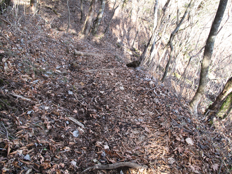 20171207hike (307)
